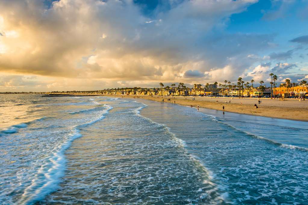 Cambria Hotel & Suites Anaheim Resort Area Servis gambar